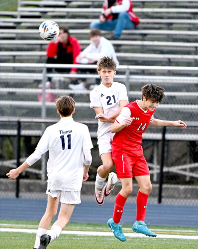 Tigers fall in title tilt to end year